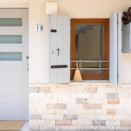 Begonia 18 * Chioggia